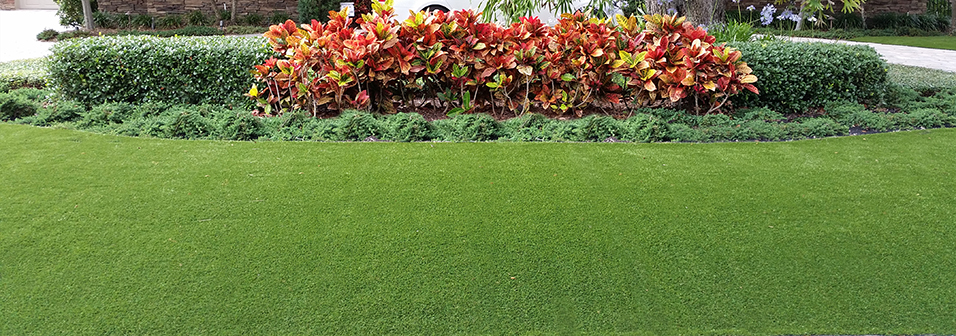 Go green, keep your trees and have the grass of your dreams with Lawn Lasting artificial grass!