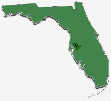 We are based in Tampa and serve all of Florida.